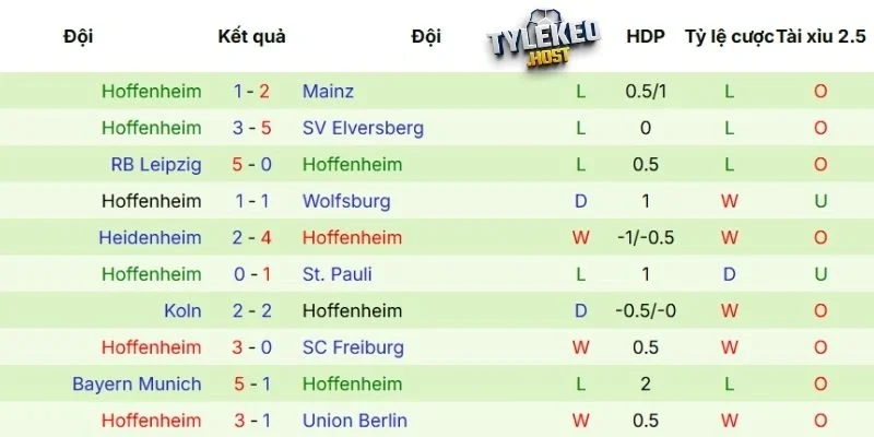 Phong độ gần đây của Hoffenheim